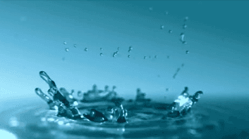 Xylem event video